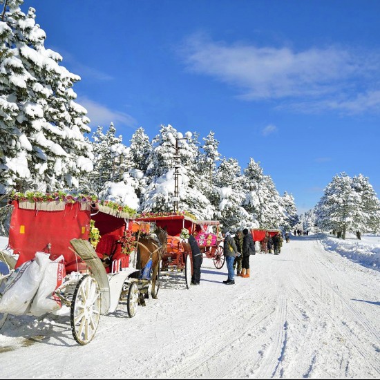 ABANT GÖLÜ MİLLİ PARKI