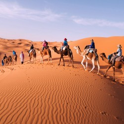 FAS TURU (Masallar_Diyarına_Yolculuk)