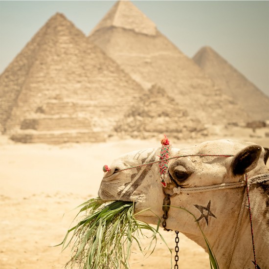 MISIR TURU/KAHİRE (İskenderiye_Hurgada_Luksor)