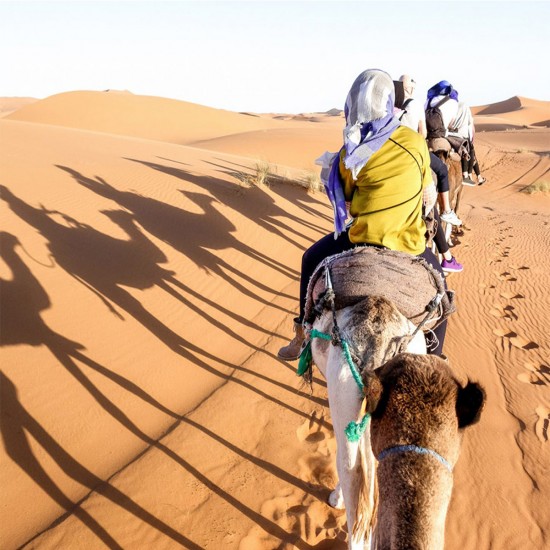 MISIR TURU/KAHİRE (İskenderiye_Hurgada_Luksor)