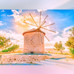 14. ALAÇATI OT FESTİVALİ