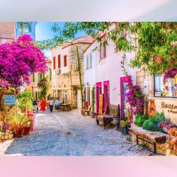 14. ALAÇATI OT FESTİVALİ