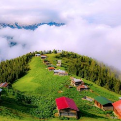 DOĞU KARADENİZ BATUM