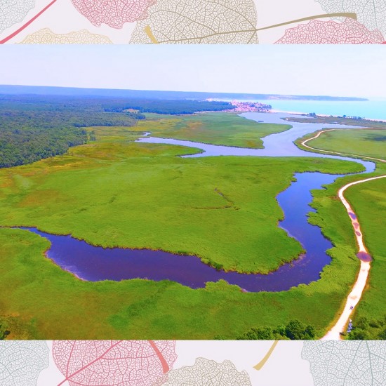 EDİRNE KAKAVA ŞENLİKLERİ