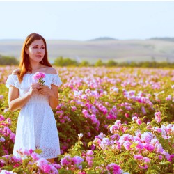 ISPARTA GÜL HASADI TURU