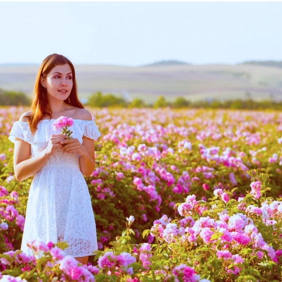 ISPARTA GÜL HASADI TURU