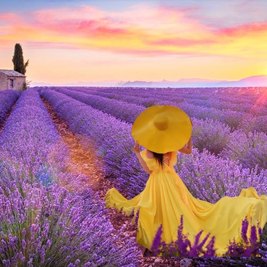 Lavanta Bahçeleri Salda Gölü