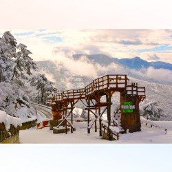 YENİCE IHLAMUR TERAS TURU (Sevgililer_Gününe_Özel)