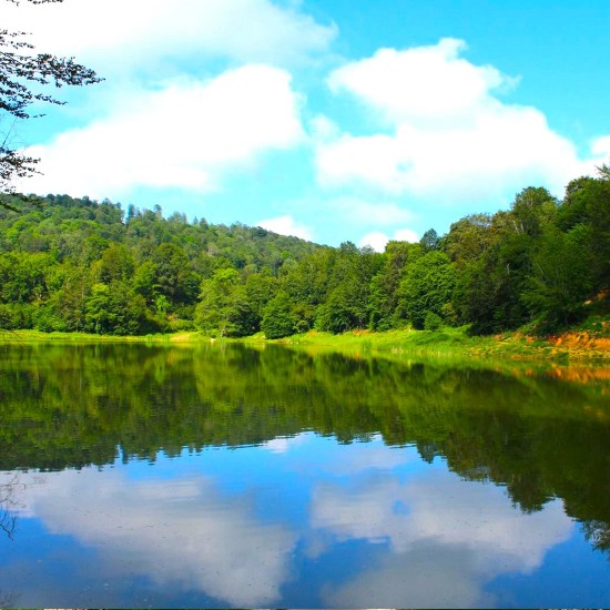 YENİCE IHLAMUR TERAS Göktepe_Yaylası/Bağbaşı_Yaylası